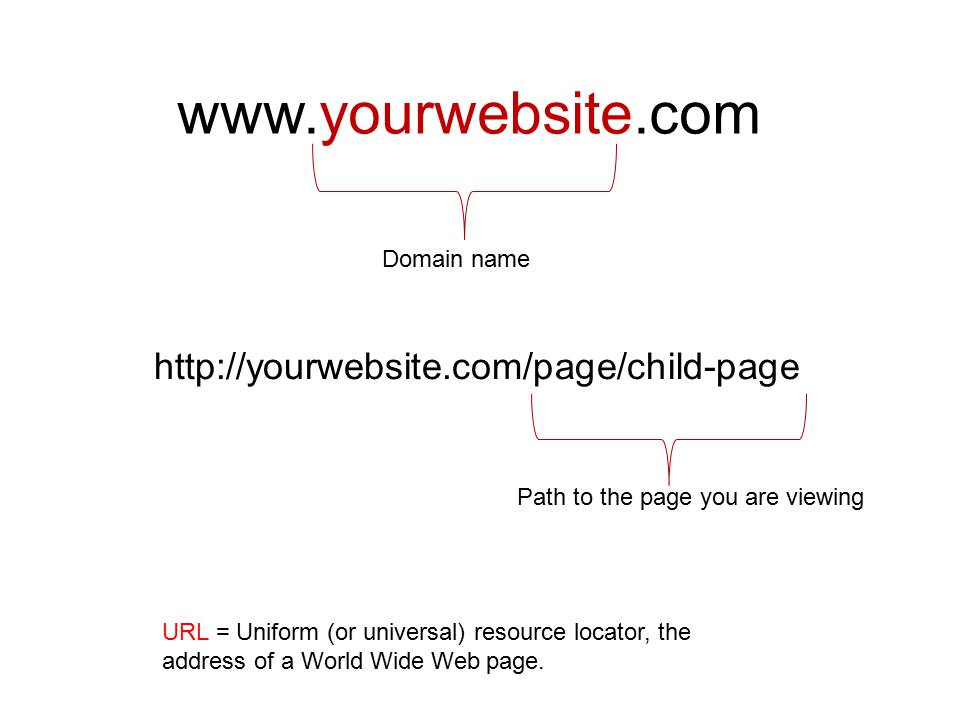 تاثیر نام دامنه بر اعتبار سایت